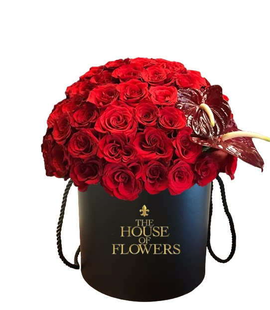 Red 2025 hat box