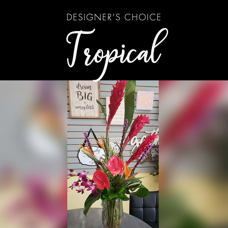 Designer's Choice - Tropical - Awesome arrangements full of tropical flowers and large blooms with different thi and aspidistra leaves. Customizeable sizes. Photo shown is an example of the theme.  Not the exact design. 