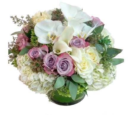 Arabella - A beautiful mounded arrangement of Lavender Roses, White Hydrangea, mini Green Hydrangea, mini White Calla Lilies, White Phalaenopsis Orchids and mini Succulents with premium greens in a leaf-lined cylinder vase. 