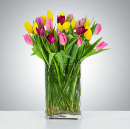 Two Dozen Tulip Mania - Send a selection of tulips to somebody you have unconditional love for! Always treasured and appreciated, Tulips have a rich history and are loved by all making them a fan favorite for Mother's Day. They also are a great option for celebrating an anniversary or just because. 