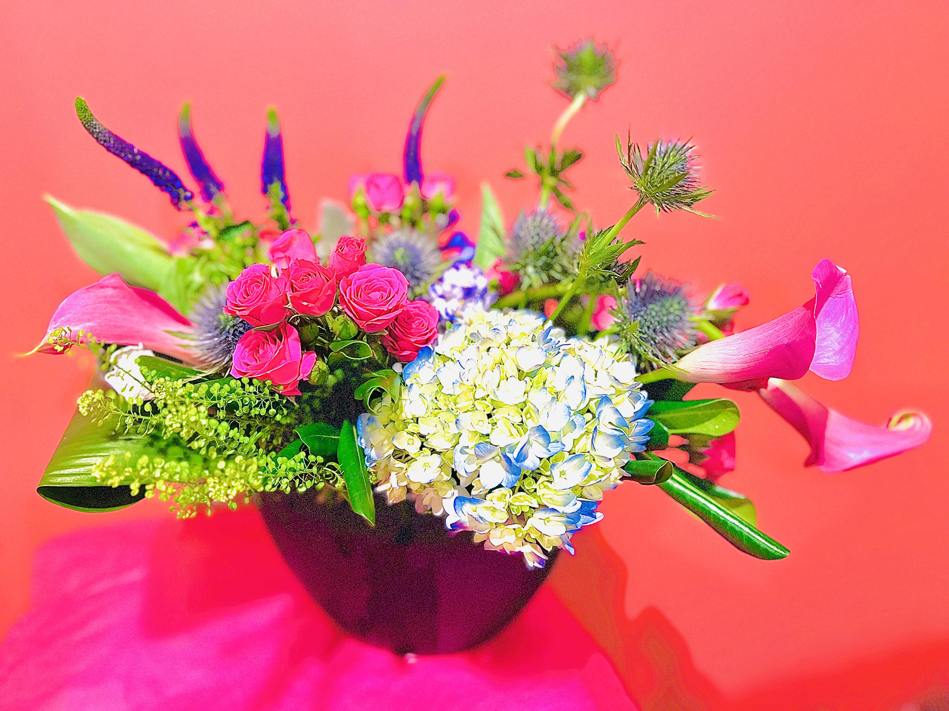 A modern romance A modern romance - Unique and colorful ! For the person that has a flair for something different .