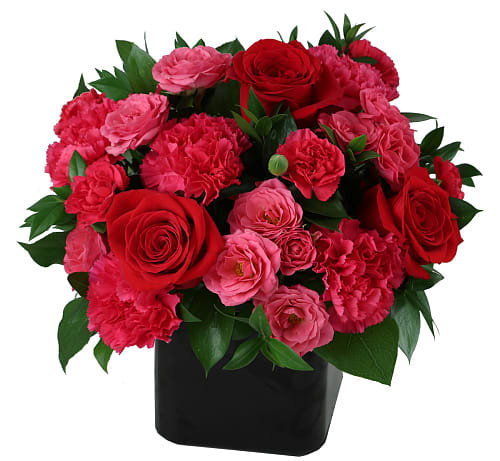 Beauty Queen - This stunning beauty combines hot pink carnations and mini carnations with showstopping red roses, arranged in a chic black container.