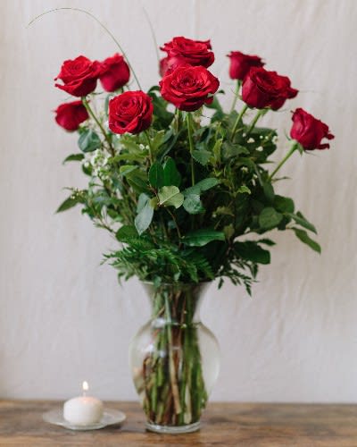 One Dozen Premium Roses - Some things never go out of style!  These premium long stem roses (60-70cm) are the classic gift of love.