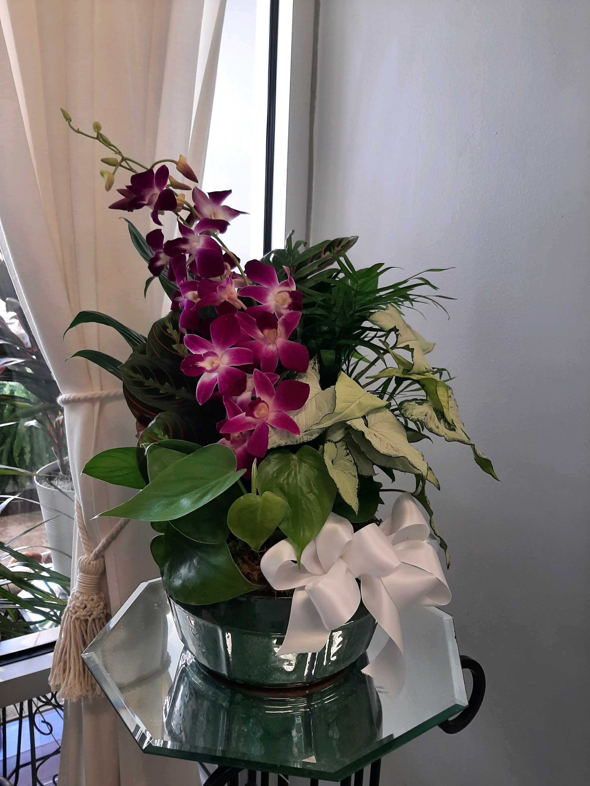 Sweet Memory Planter Sweet Memory Planter - A variety of house plants arranged in a ceramic container. Includes fresh dendrobium orchids and bow. Ceramic containers and color may vary. Deluxe size is shown.
