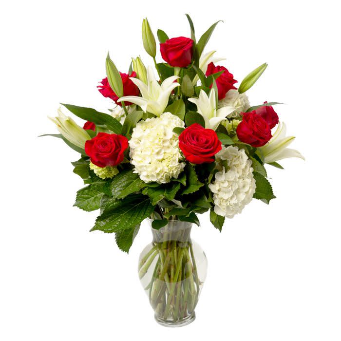 SFV10015 - Ravishing Garden - We are ravishing radiately about our red &amp; white arrangement. It's made from a dozen of red roses, green hydrangea, white hydrangea, stargazer lilies, and deep, rish greens in an illusion vases. Pure &amp; simple.