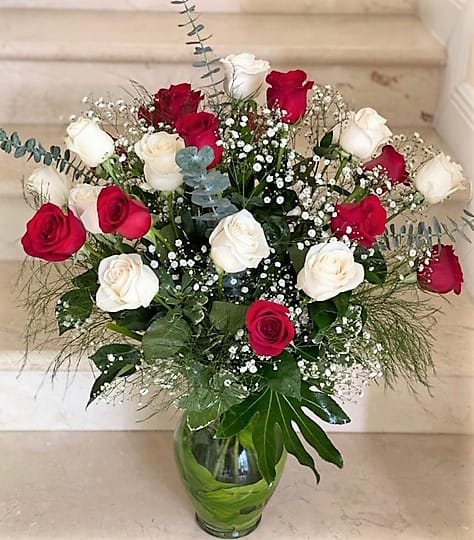 24 Red and White Roses Long Stem Arranged in a vase with baby breath. - Red and White Premium Roses arranged in a glass vase, as shown. 12 Red and 12 White arranged with greenery and baby breath as filler. Deluxe: Taller roses and more greens. Premium: Much taller roses and much more greens.
