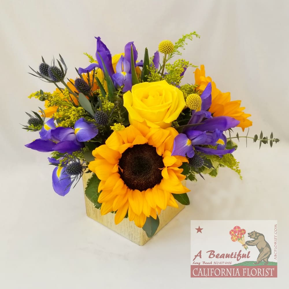 California Gold - from A Beautiful California Florist - &quot;No more milking cows or making hay, I'm off to California 'cause There's Gold in them thar Hills&quot; Created by our artisan florist and inspired by the lyrics of Frankie Marvin, California Gold is a beautiful arrangement of Sunflowers, roses, solidiago and contrasts of blue iris and accents. Comes arranged in a Gold cube vase. Size is approximately 8&quot; wide x 10&quot; tall and fits perfectly on an office desk, entry or bedside table. Birthday, Get Well, Thank You and Thinking of You... Another ABC Florist Long Beach exclusive, offering fresh flowers and same day delivery. Send California Gold to that special someone today!   