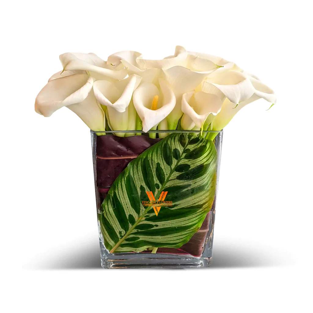 Mini Calla Lovers - The pristine white mini calla lilies exude a sense of refined simplicity, creating an atmosphere of pure elegance and grace. This monochromatic palette is perfect for events that aim for a sophisticated and serene ambiance.