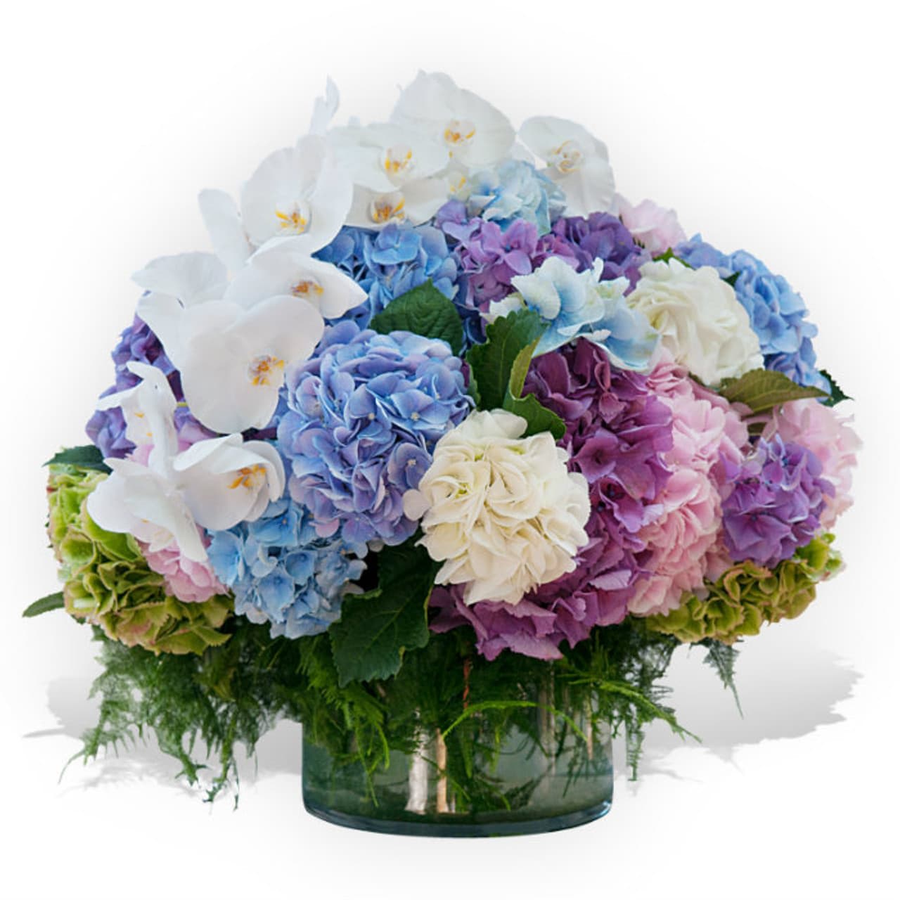 Pure Bliss Arrangement - A flower arrangement made to impress. An exclusive selection of superb blooms of fresh hydrangeas and the ever classic cascading orchid beautifully arranged in a luxury glass vase