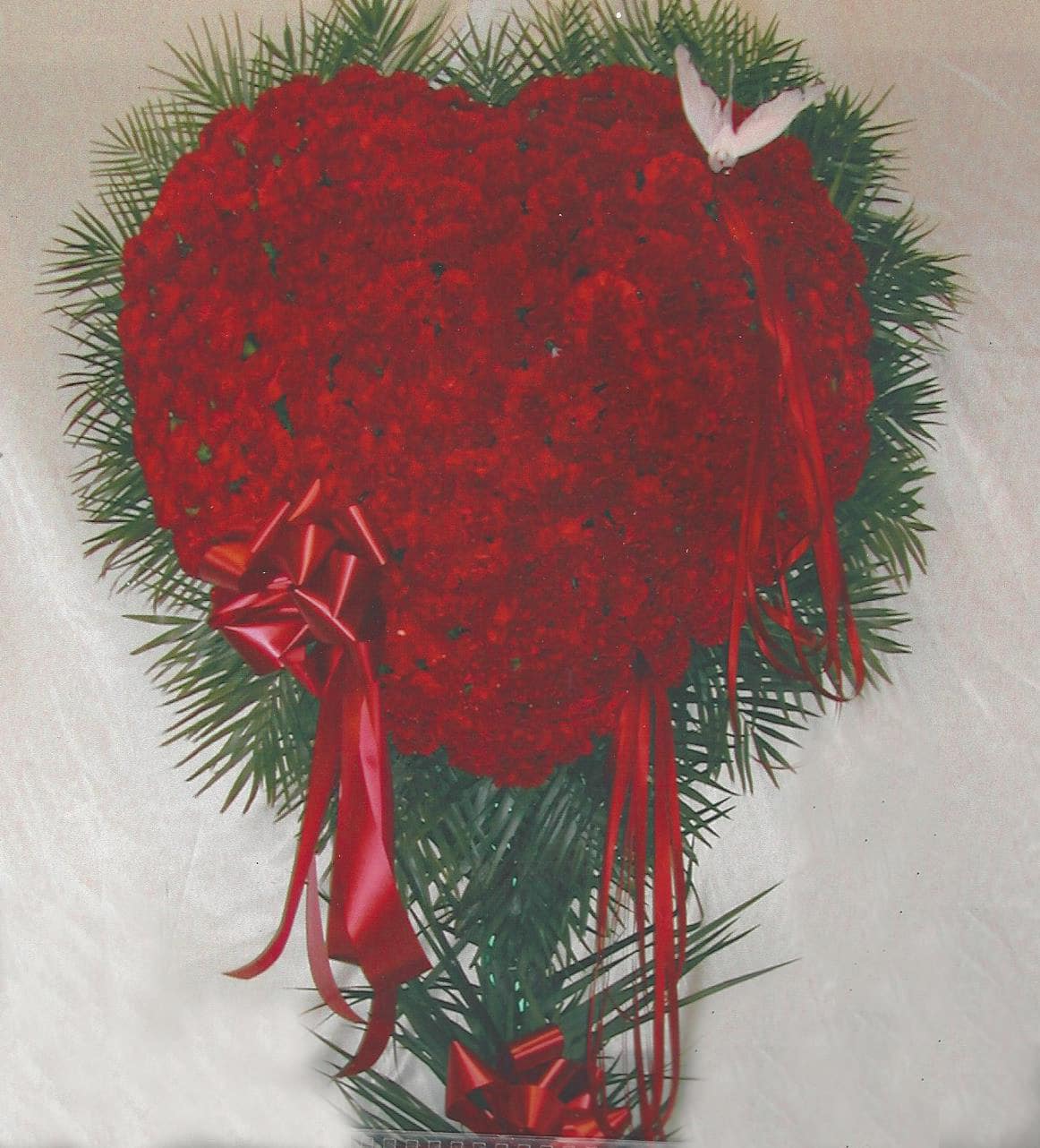 Red Carnation Bleeding Heart - Lovely floral heart tribute conveys your love and support during a very difficult time. Made of red carnations, red ribbon streamers, white dove, hand-designed by our Florists.