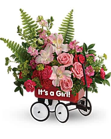 Welcome Beautiful Bouquet - Give your welcome some wheels! A childhood classic, this cute red wagon is a whimsical way to send the new family a bright pink bouquet of roses, alstroemeria, and carnations. This beautiful bouquet includes pink spray roses, light pink alstroemeria, miniature hot pink carnations, pink larkspur, bupleurum, huckleberry, sword fern, and leatherleaf fern. Delivered in a Baby's First Wagon.
