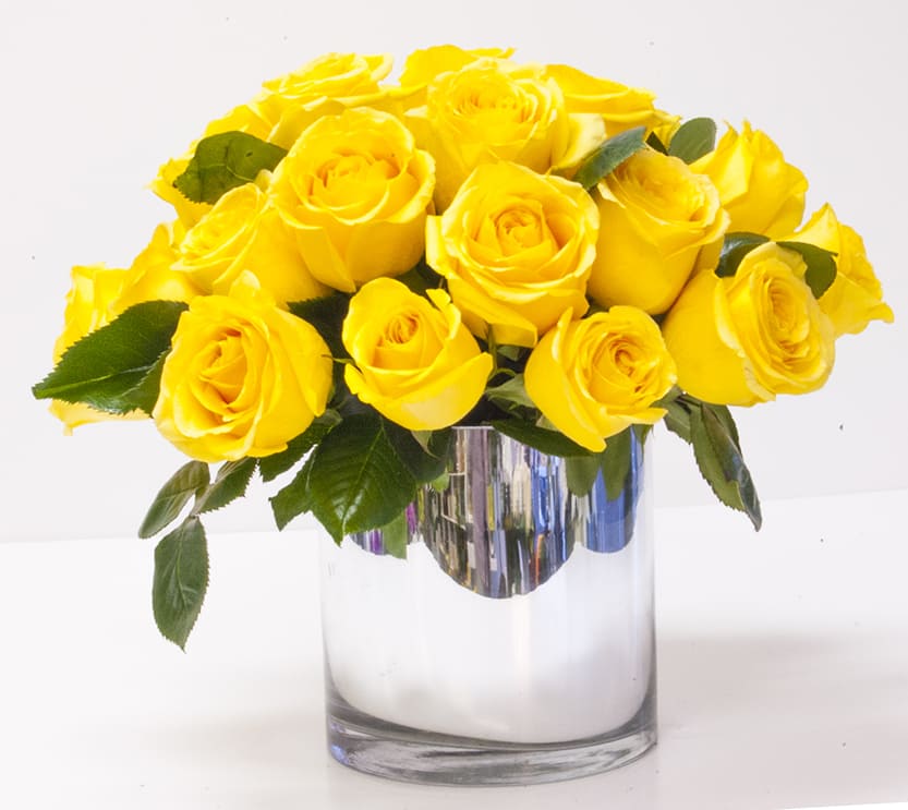 Mellow Yellow Rose - 18 bright yellow roses arranged in a modern style (with just the rose heads sticking out above the rim of the vase) in a 6h x 6d glass cylinder