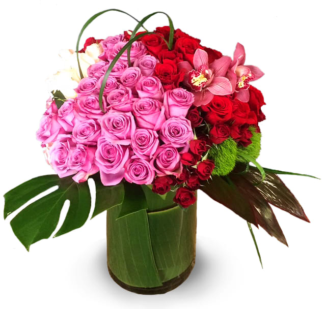 Rue De Rose by Newport Florist NF238 - This arrangement is full of roses enjoy the beautiful combination of pink red  and white roses  with pink cymbidium and lime green dianthus.  The perfect gift to your love one. 