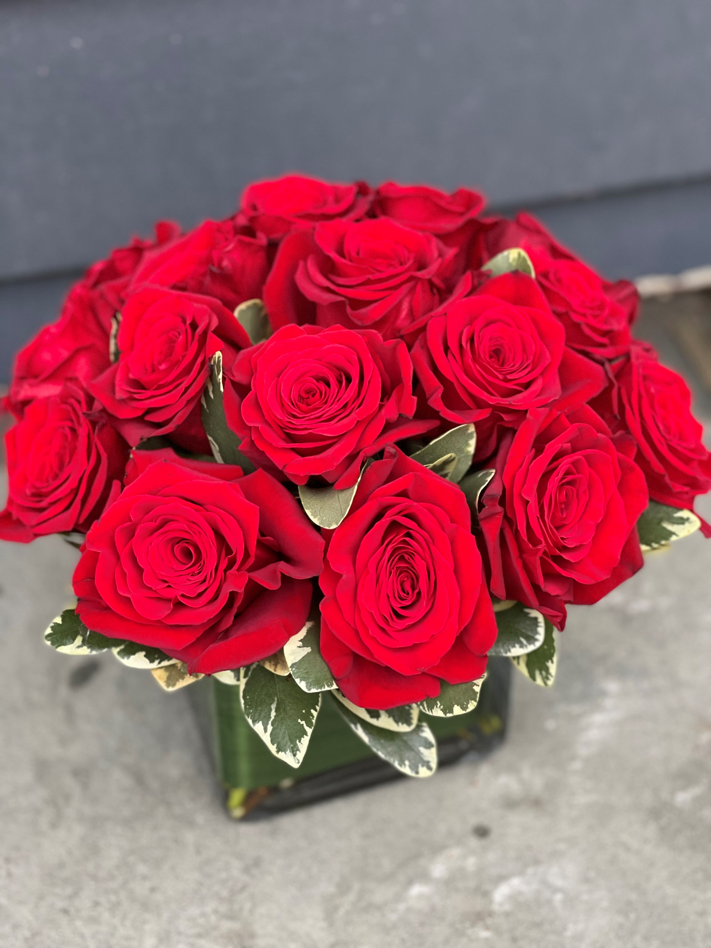 Premium Dozen Red Rose Contempo - A dozen lush red roses, arranged into an leaf lined cube, is an instant classic. It's traditional yet modern, and simply perfect. 