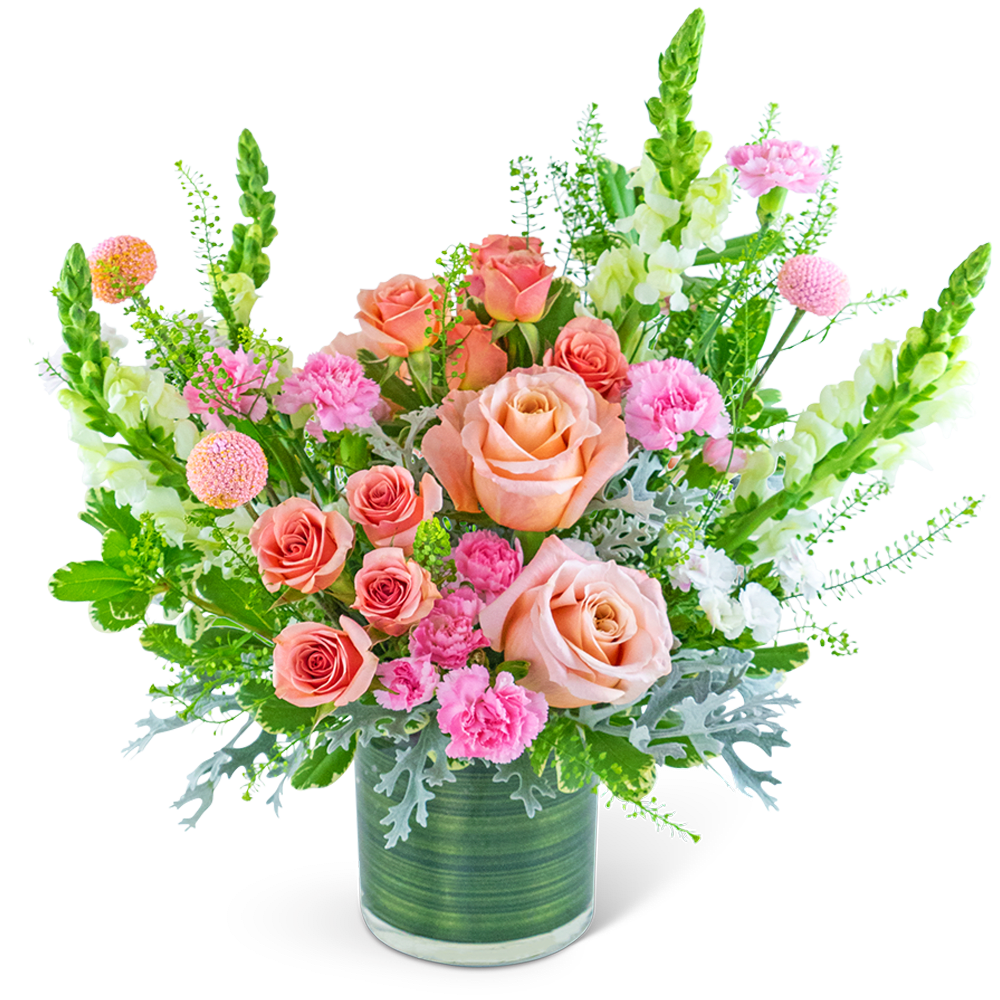 Rosy Coral Sundance - Capture the essence of romance with Rosy Coral Sundance, an enchanting flower design that brings together the delicate colors of pink and peach. This elegant arrangement features a stunning mix of Roses, Carnations, Solomio, Craspedia, Snapdragons, and premium foliage that complement each other perfectly. Presented in a leaf-lined cylinder vase, Rosy Coral Sundance is guaranteed to delight any recipient and add a touch of warmth and beauty to any space.