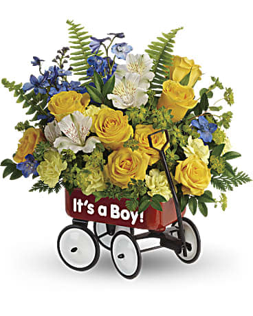 Sweet Little Wagon Bouquet - A wondrous welcome wagon for the sweet little boy! Brimming with luxurious yellow, white and blue blooms with fresh greens, this cool red wagon is a whimsical way to celebrate a new arrival. Yellow spray roses, white alstroemeria, miniature yellow carnations, and blue delphinium are arranged with bupleurum, sword fern, huckleberry and leatherleaf fern. Delivered in Teleflora's Baby's First Wagon. Orientation: All-Around