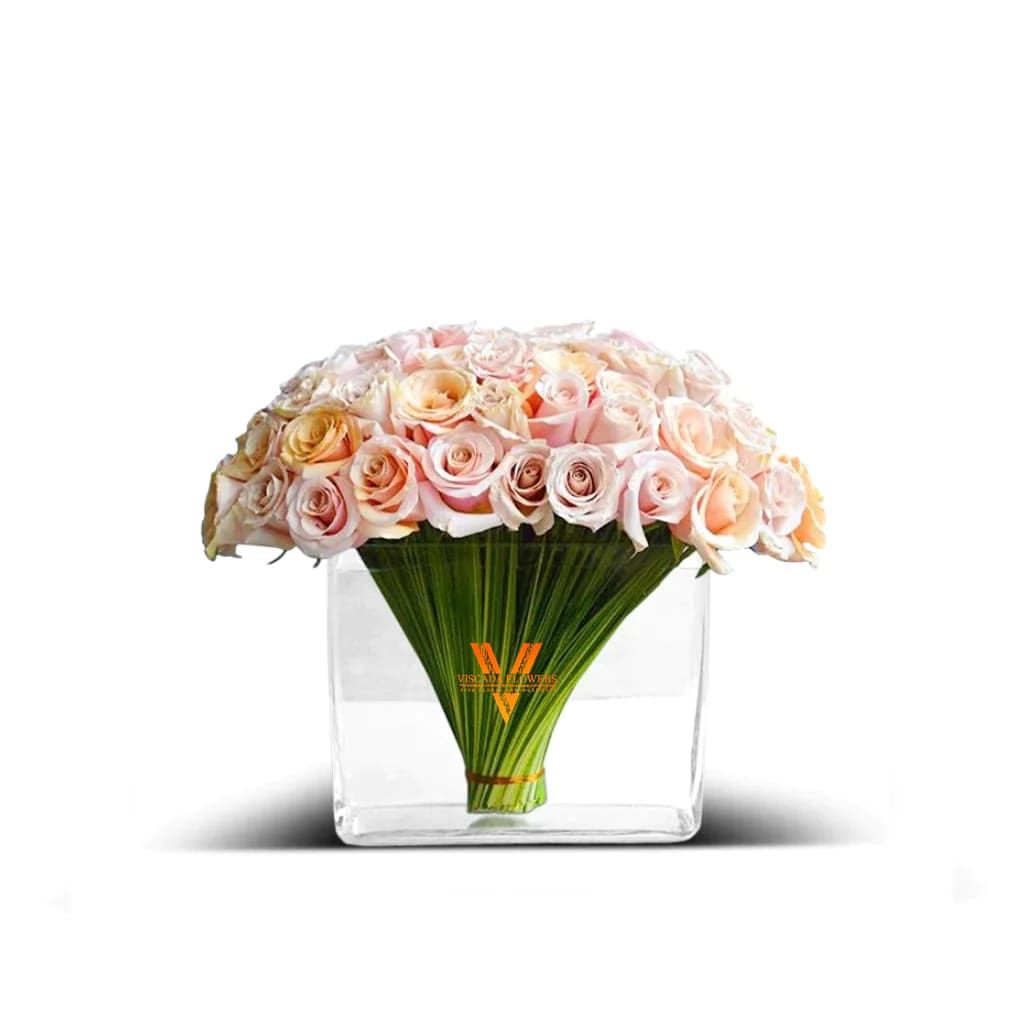 Creamy Sundea - Delight in the elegance of cream-colored roses, as their soft petals exude a subtle and enchanting fragrance, creating an atmosphere of serenity and tranquility. Perfect for adding a touch of refined beauty and a hint of captivating scent to any space or occasion. 