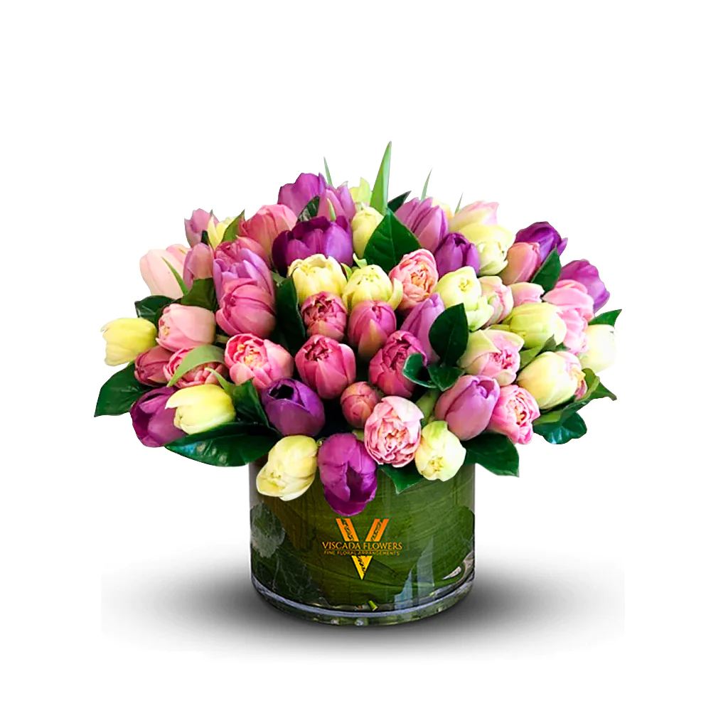 The Classic Tulip - Discover the classical nature of the tulip flower. These arrays of tulips display its lovely nature. The undeniable bright colors are demonstrated in an adorable vase, unveiling its charming beauty.