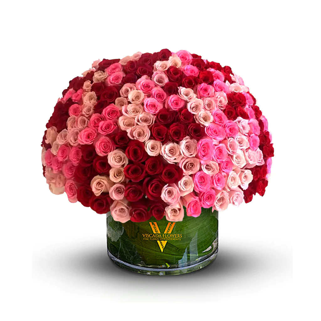 Love Drops - &quot;Vibrant reds and soft pinks come together in this eye-catching arrangement, evoking the tender feeling of 'Love Drops' caught in bloom. The mix of warm hues creates an atmosphere of romance and heartfelt joy, perfect for commemorating love in all its forms.