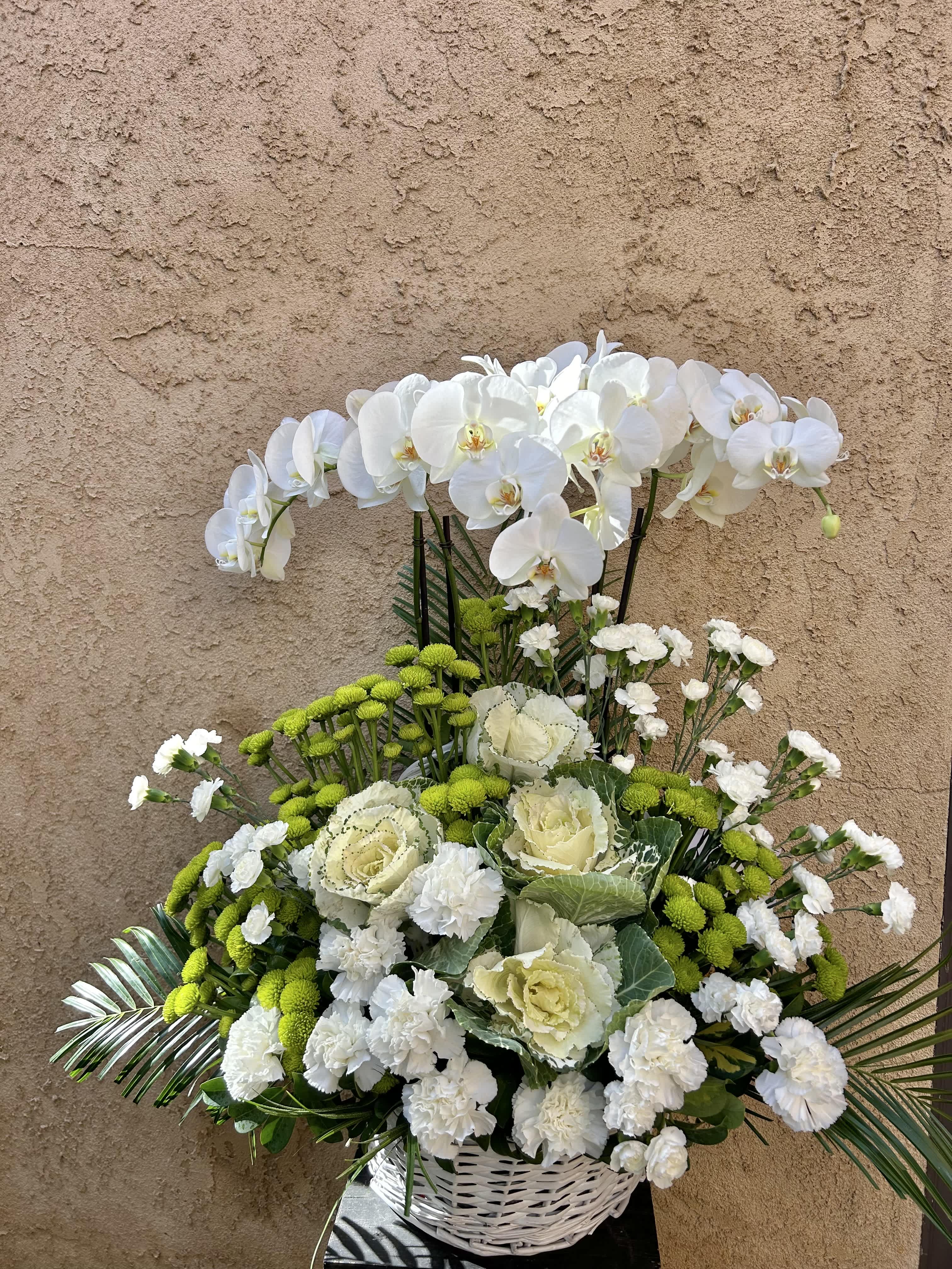 Basket of White Orchids - Beautiful basket arrangement of orchids, roses, carnations, and green accents.