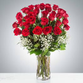 3 Dozen Long Stem Red  Roses Arrangement  - Go big with your love. Send the most extravagant 3 dozen red rose arrangement for Valentine's day, anniversary celebrations, or declarations of love. This luxury arrangement makes a big statement of &quot;I love you&quot; in 36 roses.  Approximate Dimensions: 20&quot;D x 32&quot;H