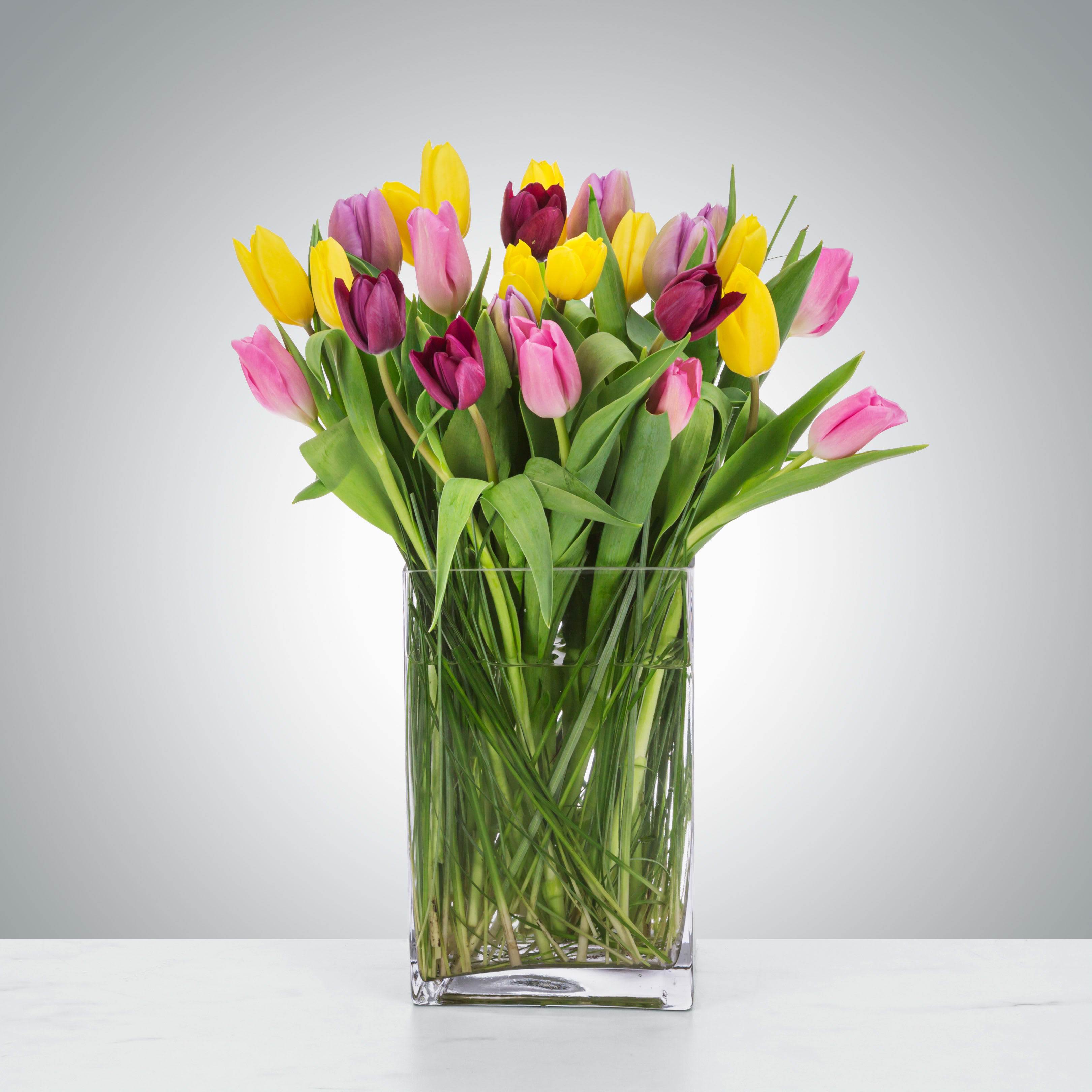 Tulip Mania by BloomNation™ - Send a selection of tulips to somebody you have unconditional love for! Always treasured and appreciated, Tulips have a rich history and are loved by all making them a fan favorite for Mother's Day. They also are a great option for celebrating an anniversary or just because.  1st Image: Standard 2nd Image: Premium