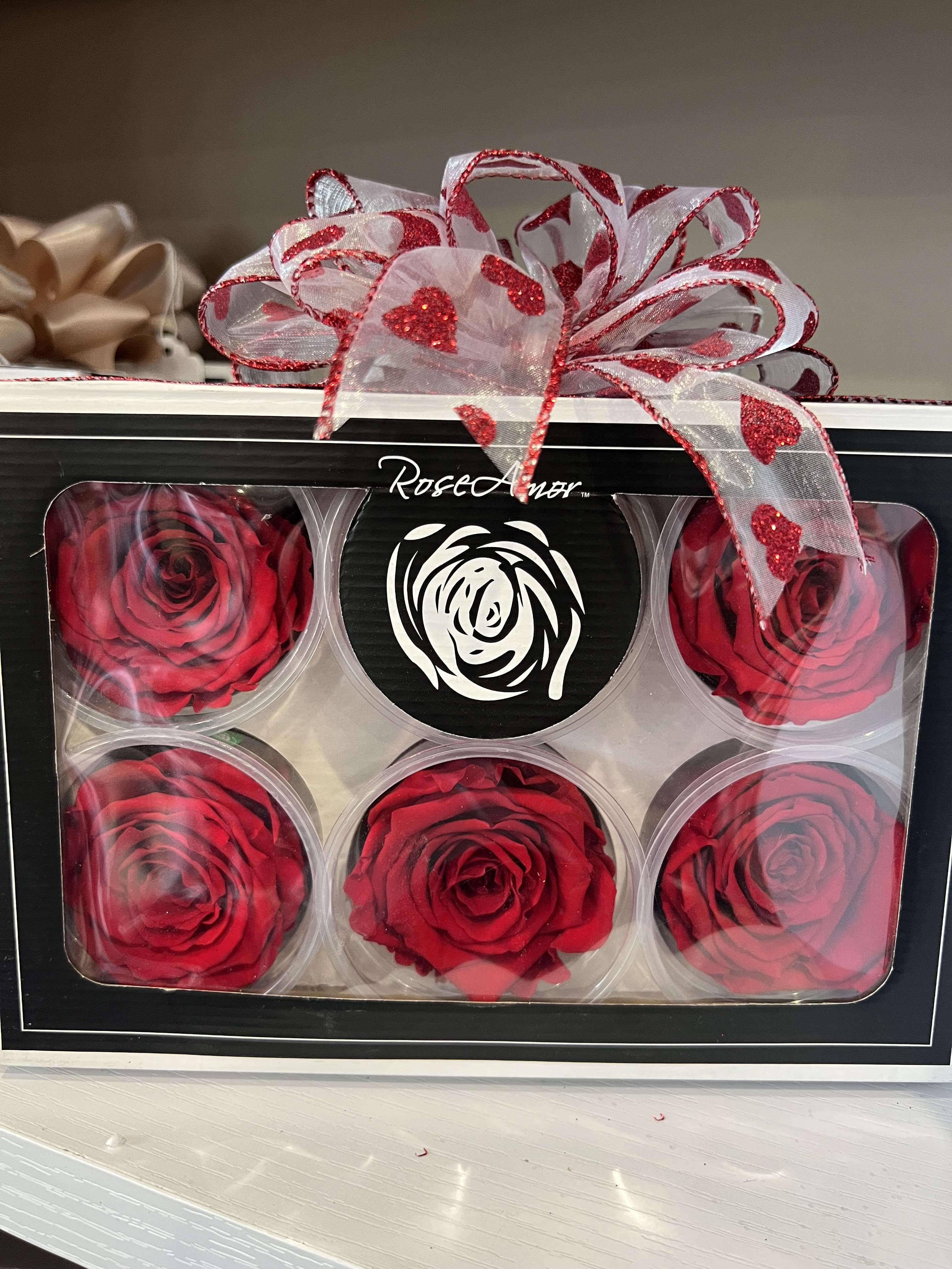 Forever Roses - 6 pack. Other colors available 