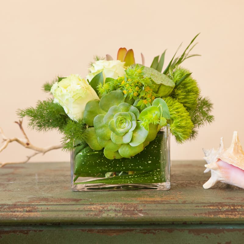 Green Day - This modern green arrangement includes roses, assorted greens and a succulent arranged in a contemporary glass vase.  