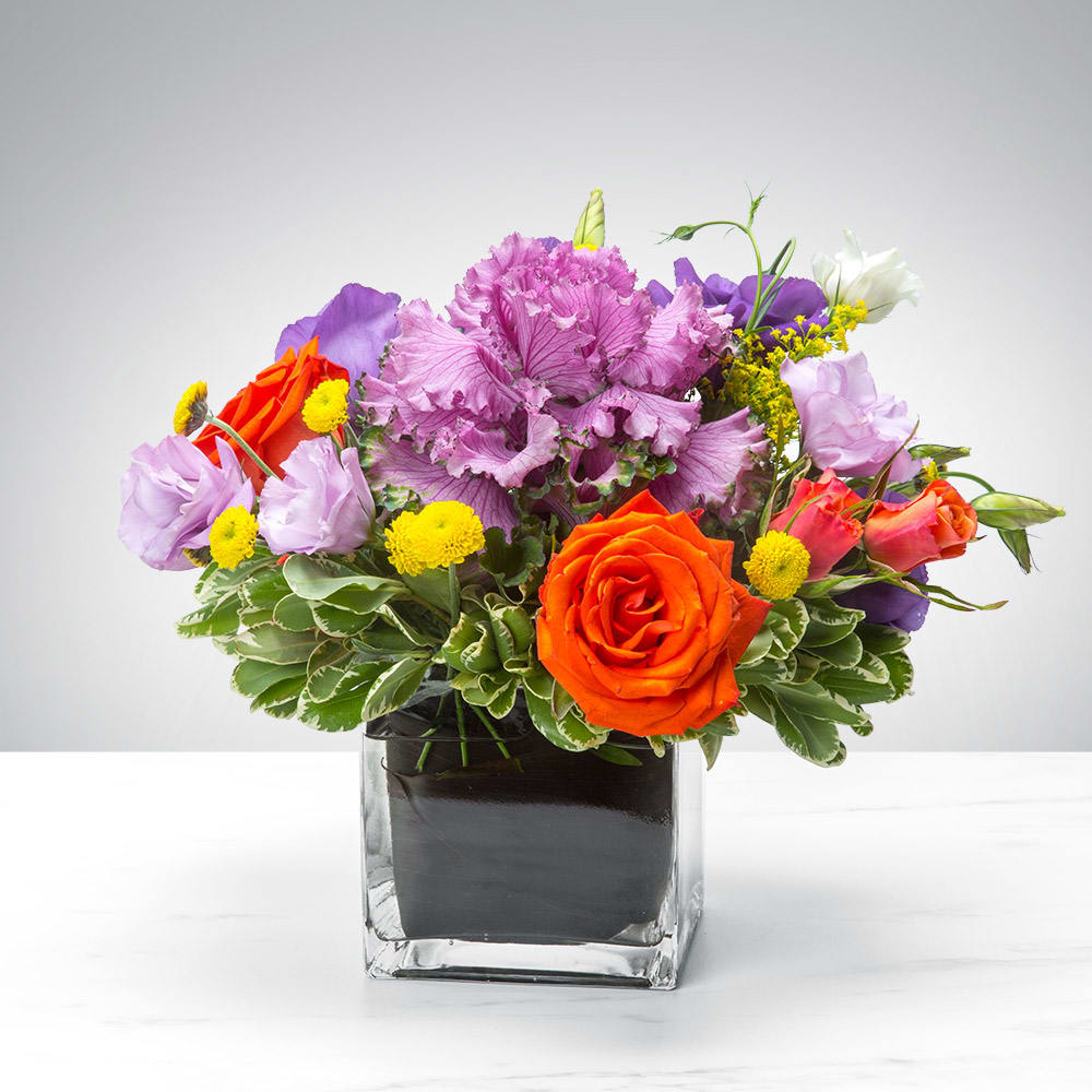 Vibrant Variety by BloomNation™ - This arrangement is seeking a comfortable home. It is willing to impress, please, and wow your recipient in exchange for a place to stay. Does that sound reasonable to you? 