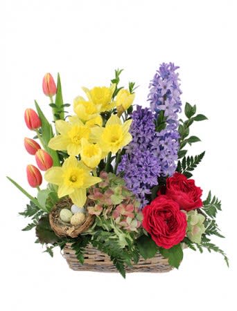 BLISSFUL GARDEN FLOWER BASKET  -  Blue hyacinth, yellow daffodils, hot pink garden roses, orange and yellow tulips, and green hydrangea nestle a delicate bird’s nest, complete with eggs! Give a basket full of spring and order this arrangement online today!