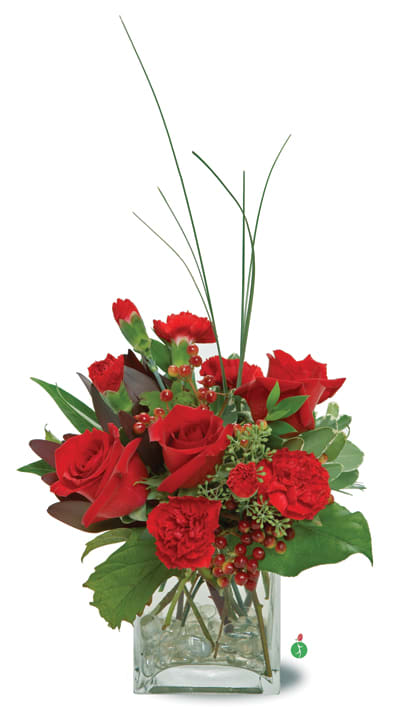 Rosey Posey - A deep red combination that is sure to delight and surprise someone special. This combination of red roses and red carnations is arranged in a stylish glass cube accented with clear pebbles resting on the bottom.
