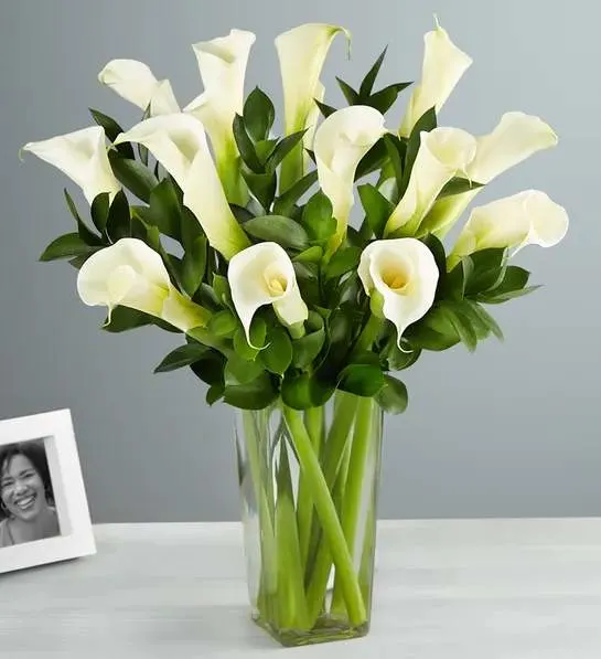 Sending Peaceful Wishes Bouquet - When words alone aren’t enough, a gift of flowers is a meaningful way to send your deepest condolences. We’ve gathered peaceful white calla lilies with lush Israeli ruscus for a simple yet thoughtful expression of support when they need it most.