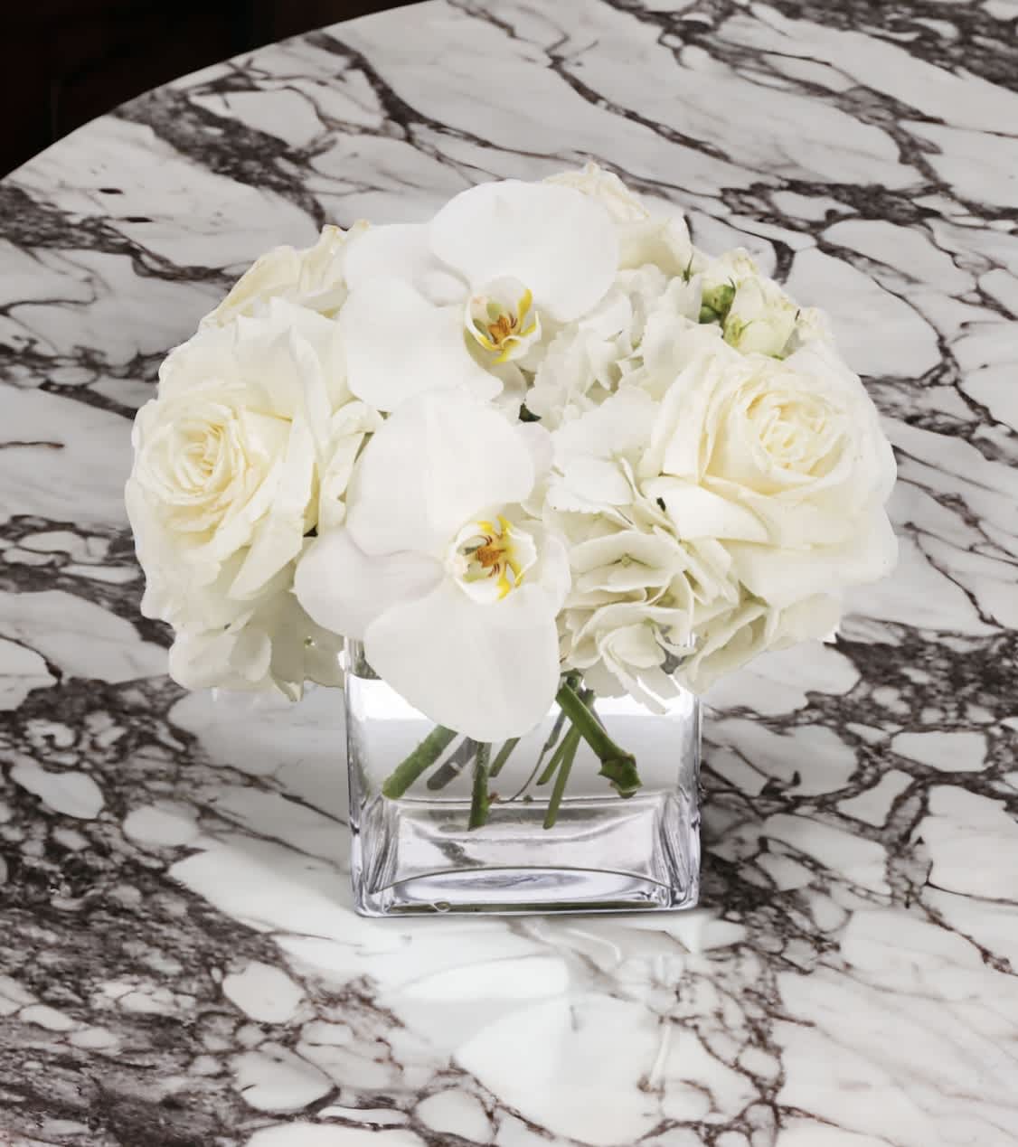 Linen by BloomNation™ - This petite all-white arrangement featuring hydrangea and orchids is the perfect all-occasion gift. Send it for any holiday, event, or circumstance.  Approximate Dimensions: 8&quot;D x 8&quot;H