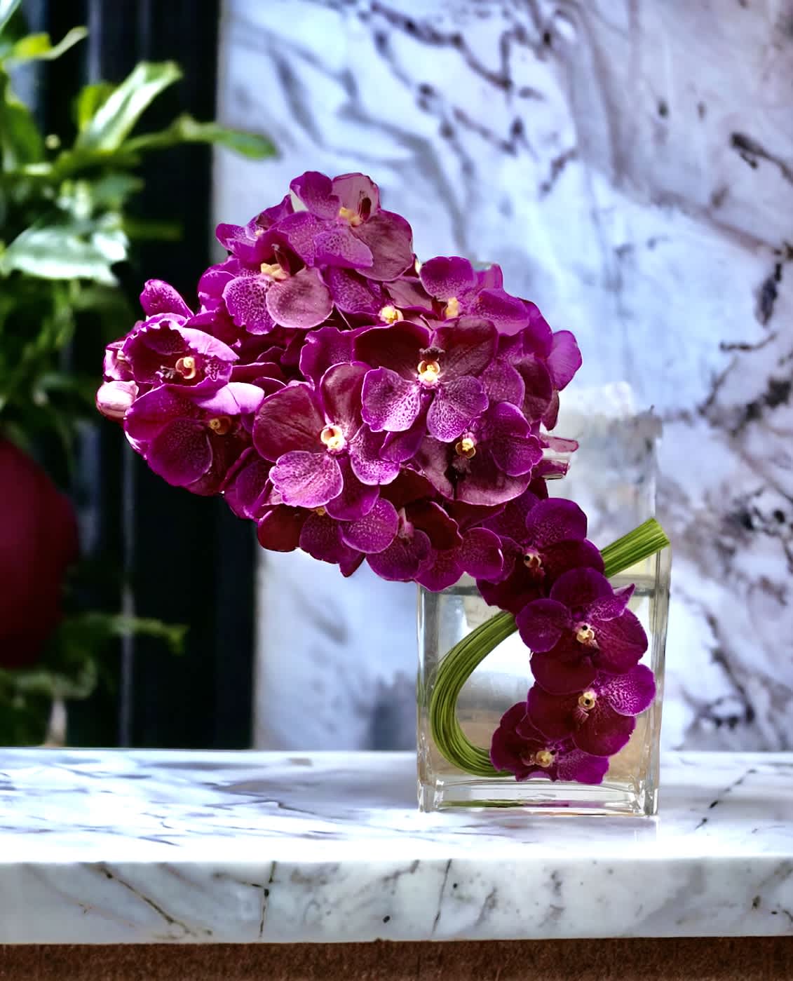 friendly Vanda  - Steel grass in brilliant green twines together, holding the Vanda orchids and submerged within the 8” rectangular glass vase. Overall, this arrangement stands 12” tall.