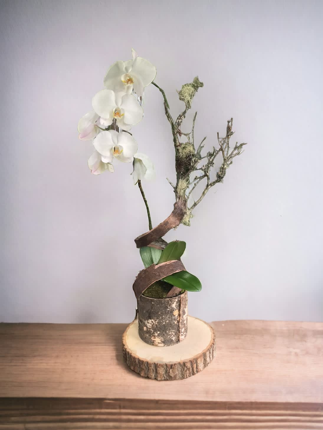 Moss orchid  - Decorated with single orchid and moss branch  Vase : 6 by 6&quot; glass vase covered in birch, 