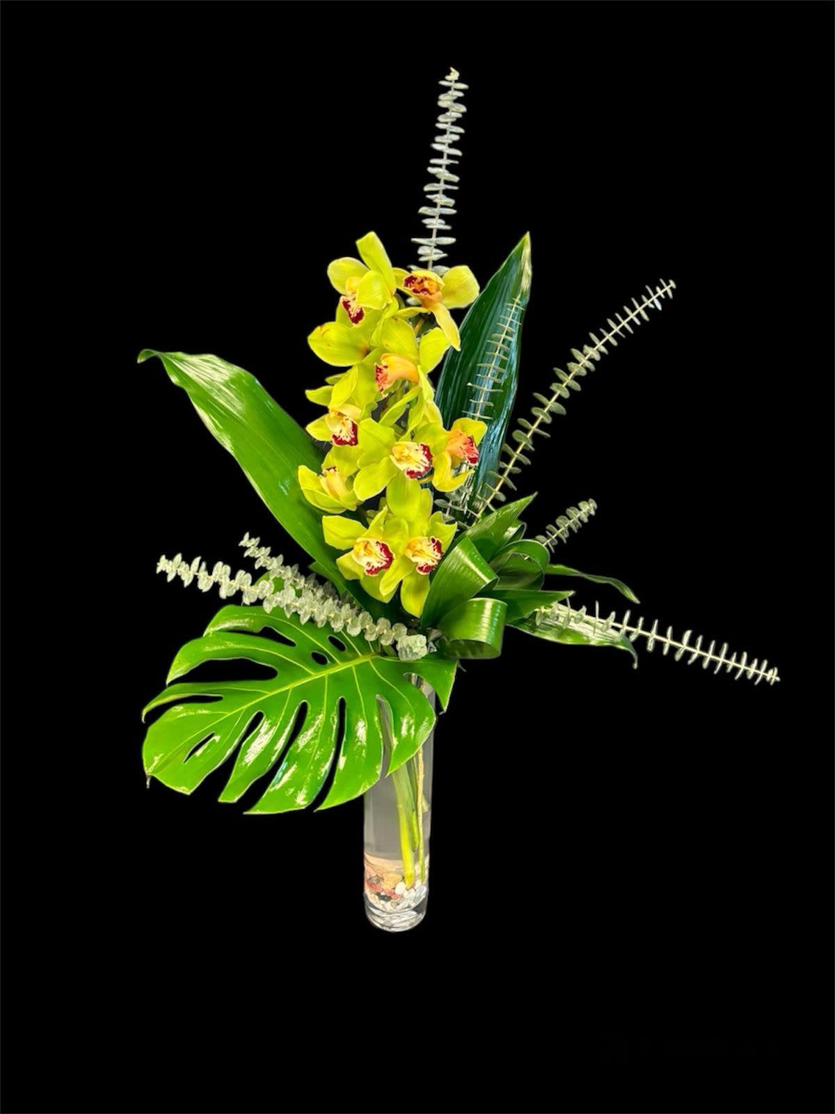Beau Guest Cymbid - Single stem of Green Cymbidium Orchid in a Tall cylinder vase with river rocks and luxury greenery. 