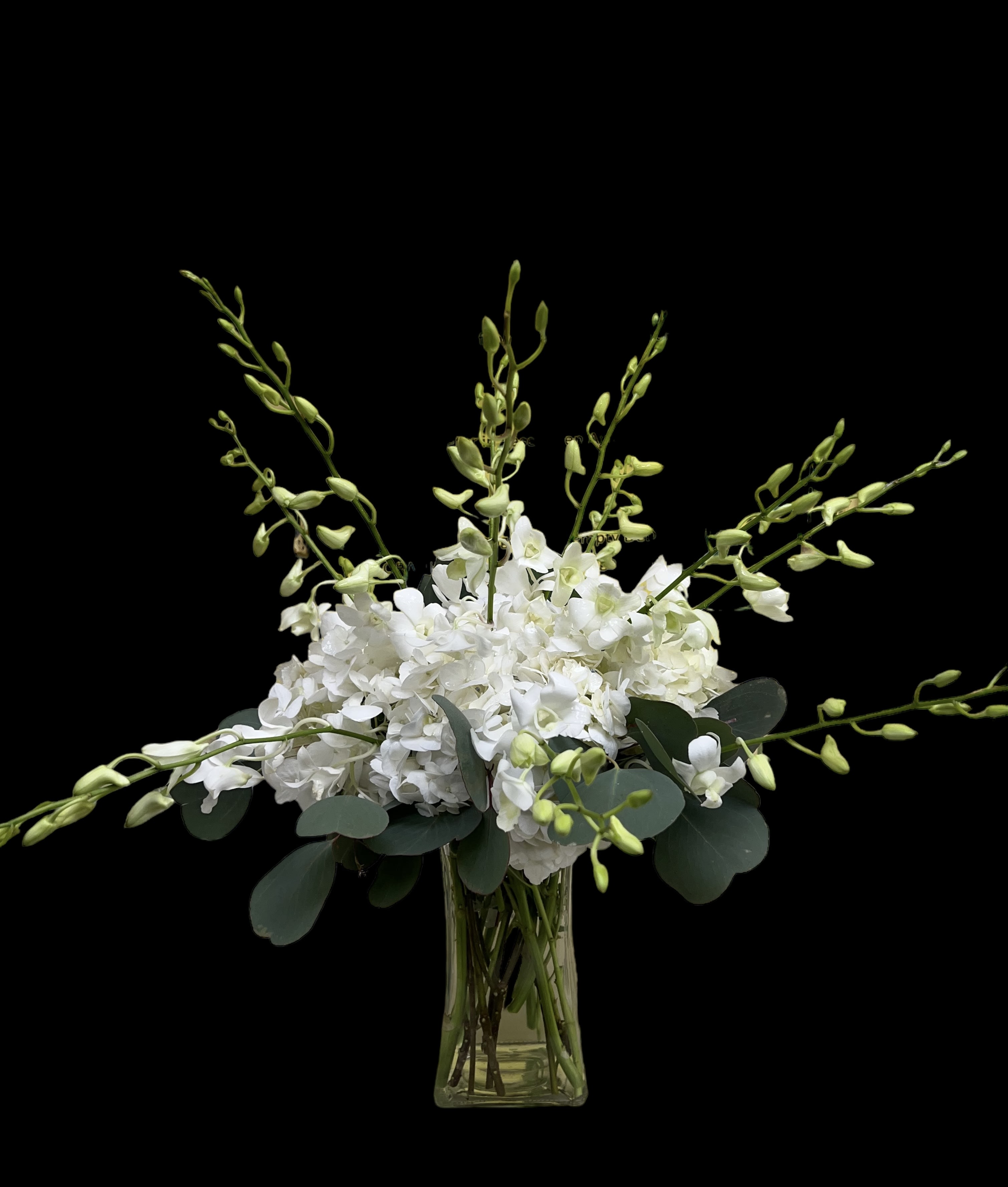 Elegant Orchids - Tall vase of white hydrangea and white dendrobium orchids. Simple yet incredibly beautiful and elegant.