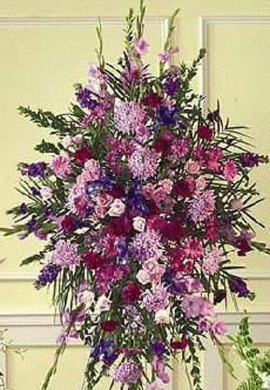 Lavender beauty standard - lavender spry