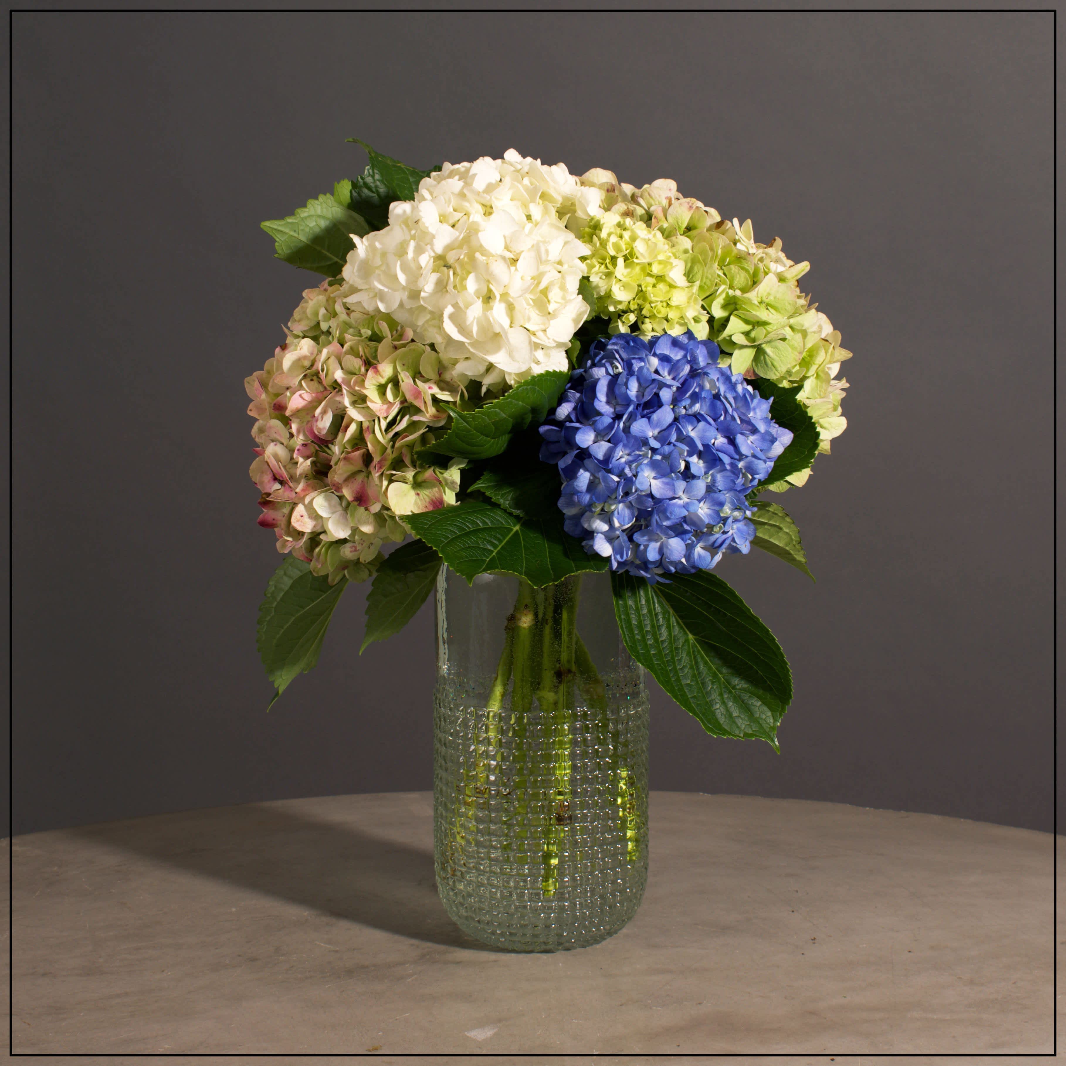 DownEast - Multiple Colors and types of Hydrangea with touches of Greenery in a Beautiful Cut Glass Vase.  Approximately 17&quot; H x 12&quot; W