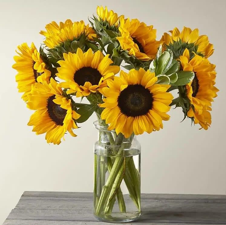 Sunflower fantasy - This bright arrangement showcases the natural beauty and warmth of sunflowers, vibrant blooms that symbolize happiness, joy, and strength. With their golden petals and dark centers, sunflowers capture the essence of the sun and radiate positivity. They remind us to be grateful for the abundance and bounty of the harvest season.  Paired with lush greenery, the &quot;Honey Bee&quot; arrangement takes on a rustic and natural charm. The greenery adds depth and texture, providing a beautiful backdrop that allows the sunflowers to shine. The foliage represents growth, vitality, and the changing seasons, reminding us of the cycle of life and the beauty of nature.  Together, the sunflowers and greenery create a visually stunning and impactful arrangement. The vibrant yellows and earthy greens create a harmonious and warm color palette, reflecting the hues of autumn. The &quot;Honey Bee&quot; arrangement is a wonderful representation of the beauty and richness of the Thanksgiving season.  Display the &quot;Honey Bee&quot; arrangement as a centerpiece on your Thanksgiving table, or adorn your home with its vibrant presence. Its cheerful and rustic charm will create a cozy and inviting atmosphere for your celebrations.  Embrace the spirit of gratitude and celebrate the harvest season with the &quot;Honey Bee&quot; Thanksgiving Flower Arrangement. Let its sunflowers and greenery be a reminder to appreciate the simple joys and beauty that surround us, and to give thanks for the blessings in our lives.