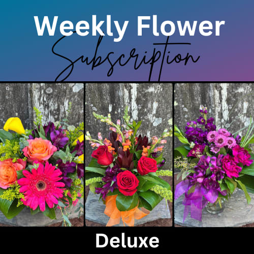 Weekly Flower Subscription - Deluxe - This flower subscription gives your recipient a fresh, seasonal arrangement every week!   Delivery dates and card messages: Select your first delivery date &amp; after that we will deliver the same day for the following weeks. Need specific delivery dates? Include your special dates and additional card messages in the special instructions, e-mail us at brent@brentdouglas.biz or call us at 715-831-0997.  -Delivery is complimentary (excluding the first delivery) -You will be billed the entire amount for your order on purchase date -Any additional questions please call us at 715-831-0997