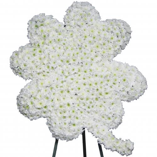 Four Leaf Clover Spray - Cushion pom poms serve as the canvas of our &quot;Four Leaf Clover Spray&quot; honoring the deceased. Green polka dots emerging from each flower's center help represent the Irish culture.