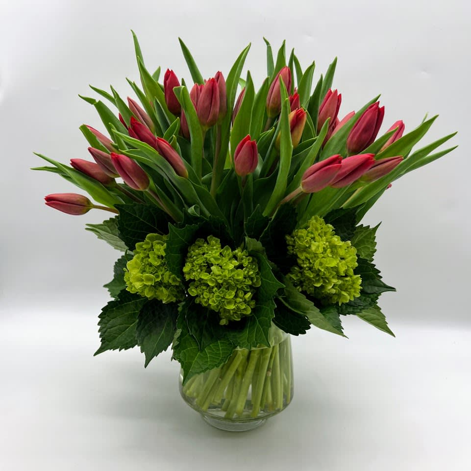 Tulips Sensation  - a show stopping unique bouquet adorned with fresh red tulips with mini green hydrangeas arranged in levels going from the mini green hydrangeas to as you look up to see those gorgeous red tulips in a crystal clear vase. 