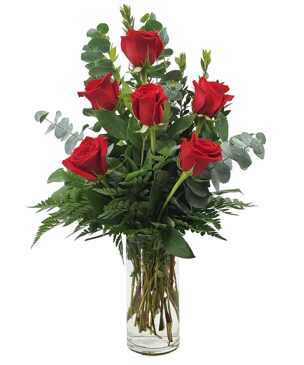 Half a dozen Red Roses - Somebody's gonna get a beautiful surprise. Imagine her smile when this lovely bouquet of roses arrives at her door - for no special reason at all. Except that you love her. You are going to be such a hero.