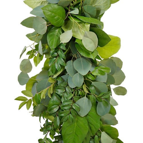 Fresh Greens Garland - Our Fresh Greens Garland is perfect for the do-it-yourself bride or event planner and is one of the easiest and most elegant ways to decorate. Ideal for churches, altars, tables, banisters, and backyard celebrations.  Standard - Choice of 2 Greens Deluxe - Choice of 3 Greens Premium - Choice of 4 Greens  Choose your greens from the following options: ~ Salal (or Lemon Leaf) ~ Silver Dollar Eucalyptus ~ Seeded Eucalyptus ~ Gunnii Eucalyptus ~ Green Huck ~ Sprengeri ~ Israeli Ruscus  Please Note: This is a special order item and requires at least 2 business days for order processing. Garlands are made and sold by foot, with a minimum order requirement of 5 feet. If ordering online, please adjust quantity to select the desired length (in feet) of the garland you wish to order. Specify desired greens under special instructions.  Leaves shapes, sizes and color may vary depending on the time of the year. We do not recommend cutting the garlands, this could result in unraveling or weakening of the structure of the garland. Garlands last an average of 4 days, depending on care and handling.
