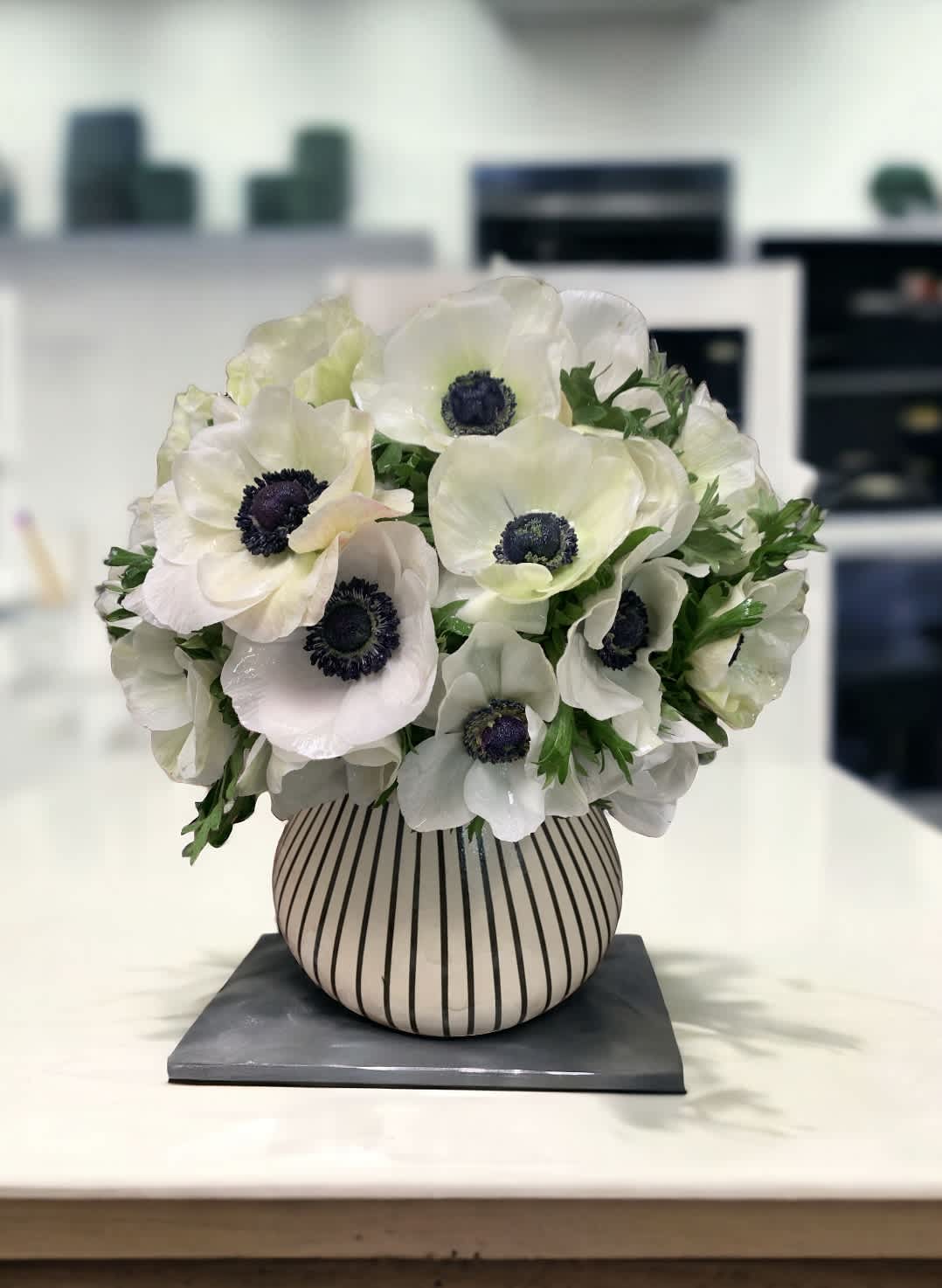 lovely anemone lovely anemone - Flower : 30stem white anemone Vase : Resting inside our new 6” tall ceramic striped vase, overall this arrangement stands around 11” tall. Please note that we may need up to 48 hours in advance for this design.