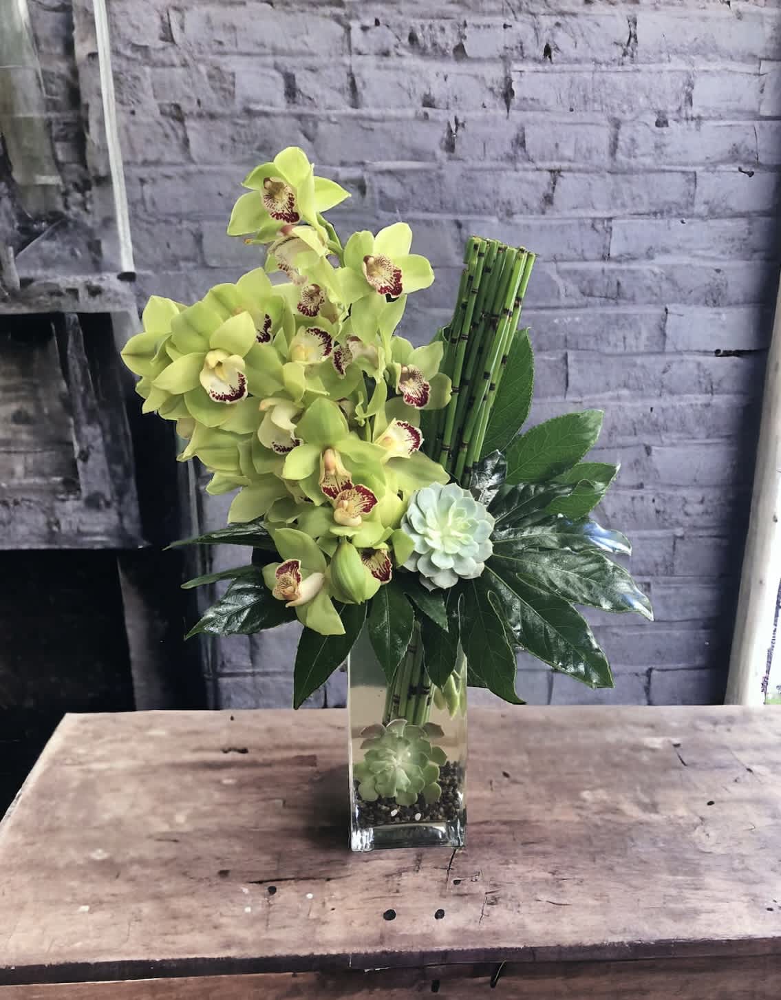 The cymbidium king - Flower : Green cymbidium with horsetail and Monstera leaves surround the blooms on sides, with succulents  Vase 12” by 6“  glass vase. Overall, this arrangement stands 22” to 24” 