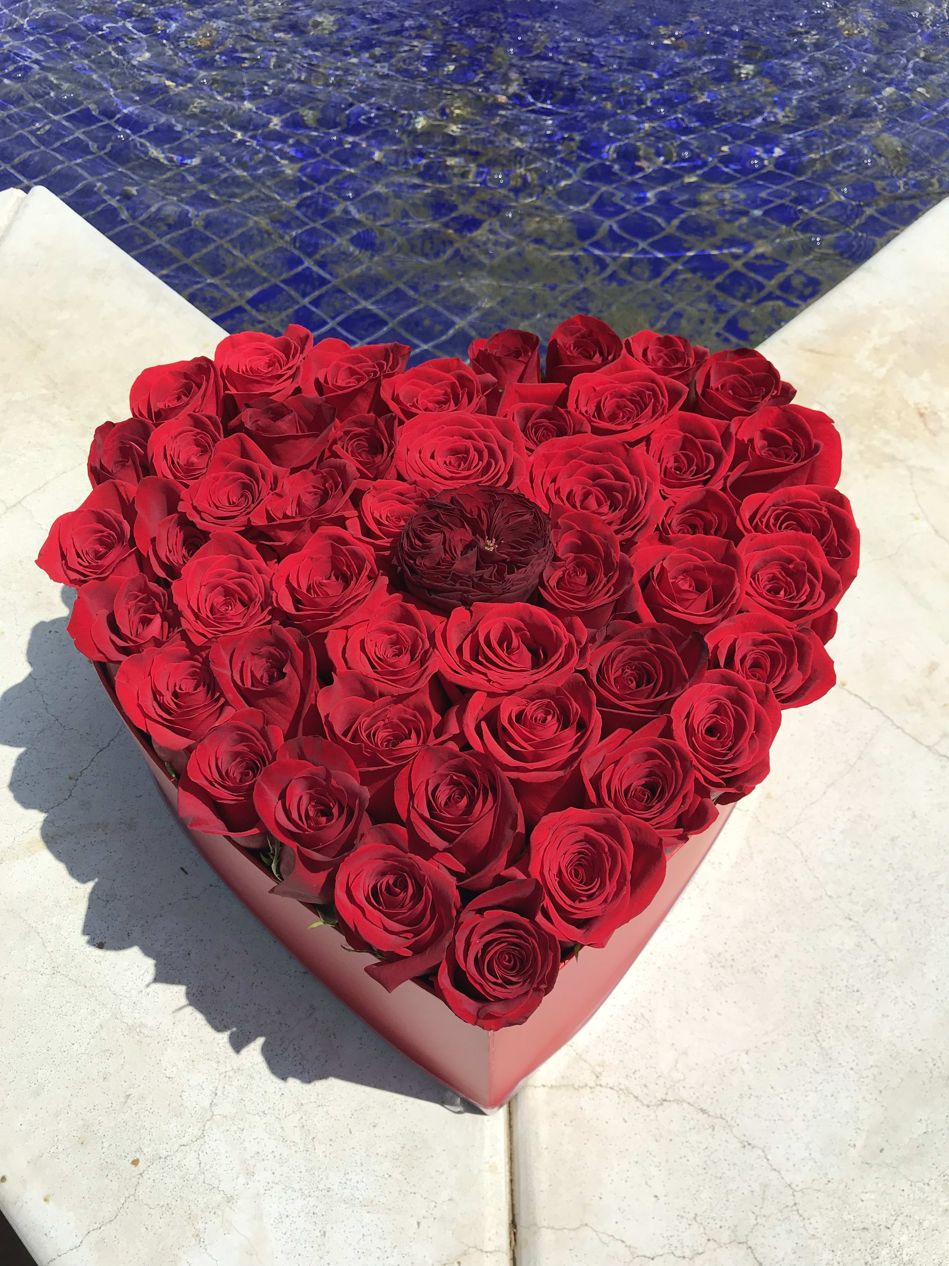 A Heart of Love A Heart of Love - Red Roses in a black heart shaped box, simple and spectacular!