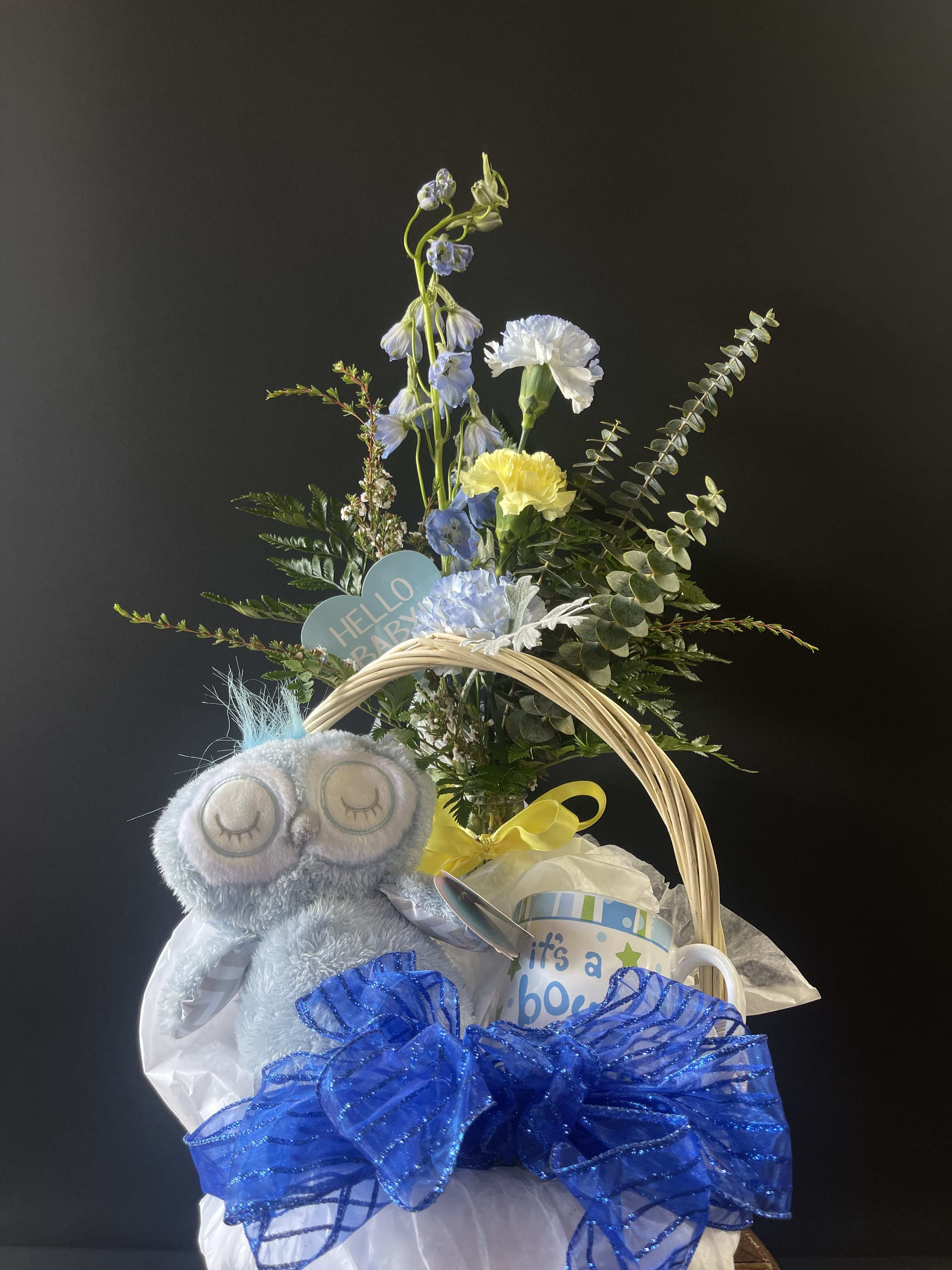 New Baby Boy Gift Basket - A sweet and thoughtful gift for a new baby boy and family. Includes a super soft rattle owl plush, it's a boy mug, floral arrangement, and a basket.