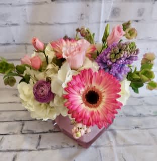 Pink Petals Pink Petals - Pink Petals for the pink lovers in your life. This beautiful arrangement is blooming with gerber daisies, spray roses and white hydrangea.